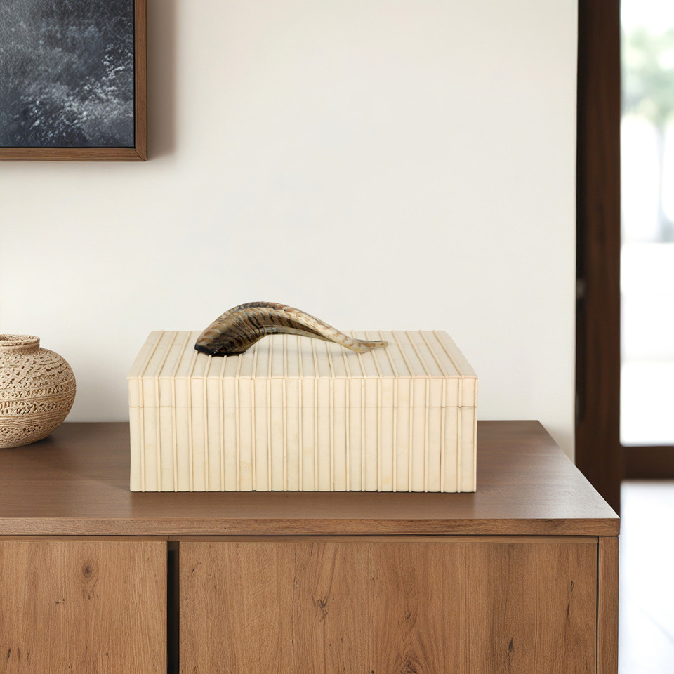 Machi Decorative Resin & Horn Box - Image 6