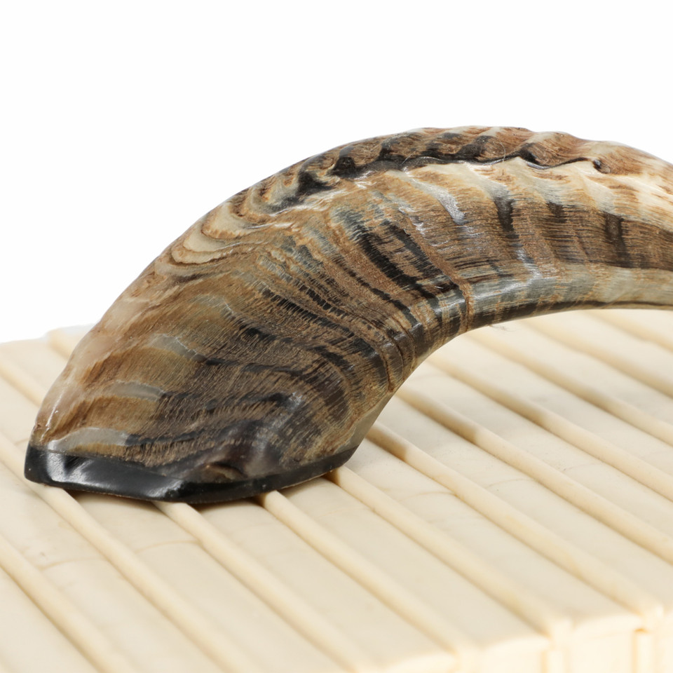 Machi Decorative Resin & Horn Box - Image 4