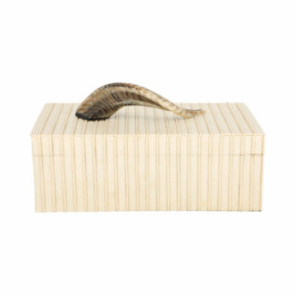 Machi Decorative Resin & Horn Box