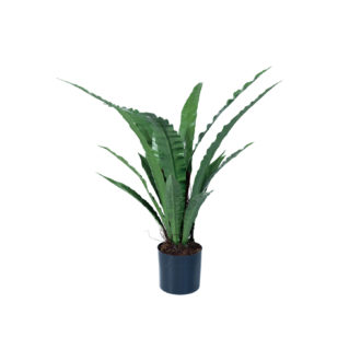 Faux Bird's Nest Fern Plant in Plastic Pot w/ Faux Moss