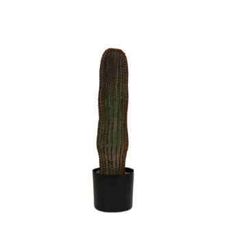 Faux Vatricania Cactus in Plastic Pot