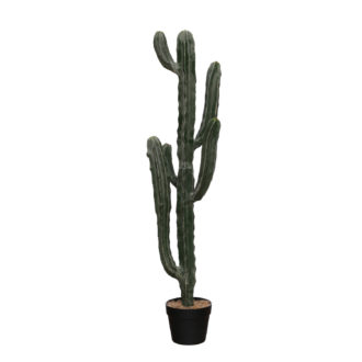 Faux Myrtle Cactus in Plastic Pot with Pebbles