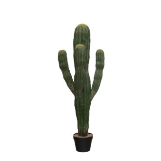 Faux Saguaro Cactus in Plastic Pot with Pebbles
