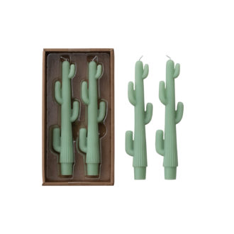 Unscented Cactus Shaped Taper Candles in Box, Set of 2 (Est. Burn Time 5 Hours)