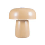 Enameled Metal Table Lamp W Exposed